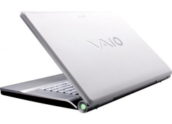 Sony VAIO VGN-FW53GF 