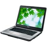 Toshiba Satellite  L300-17N